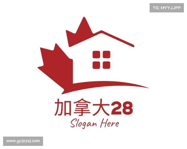解读加拿大28